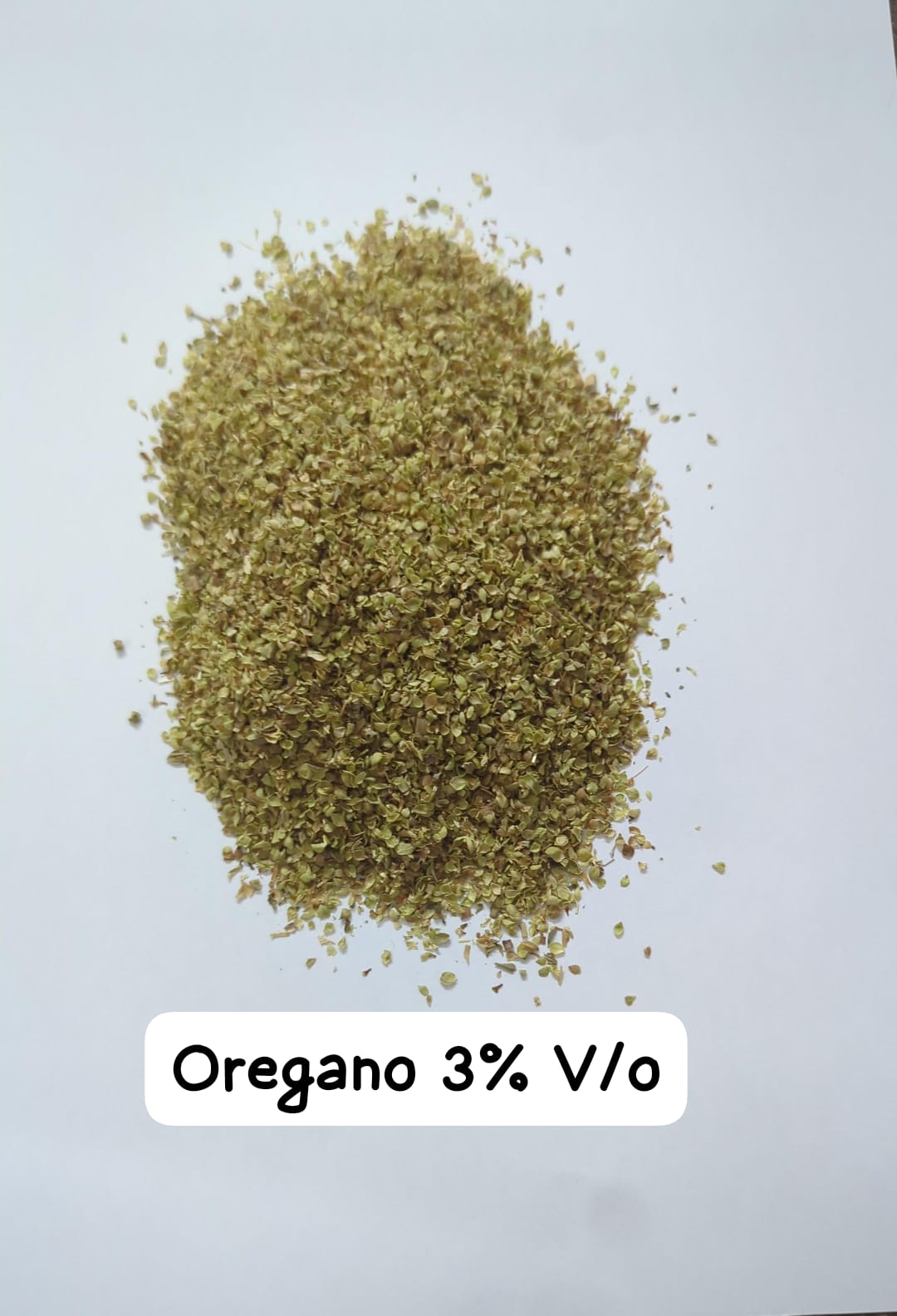 AANYA® Premium Oregano